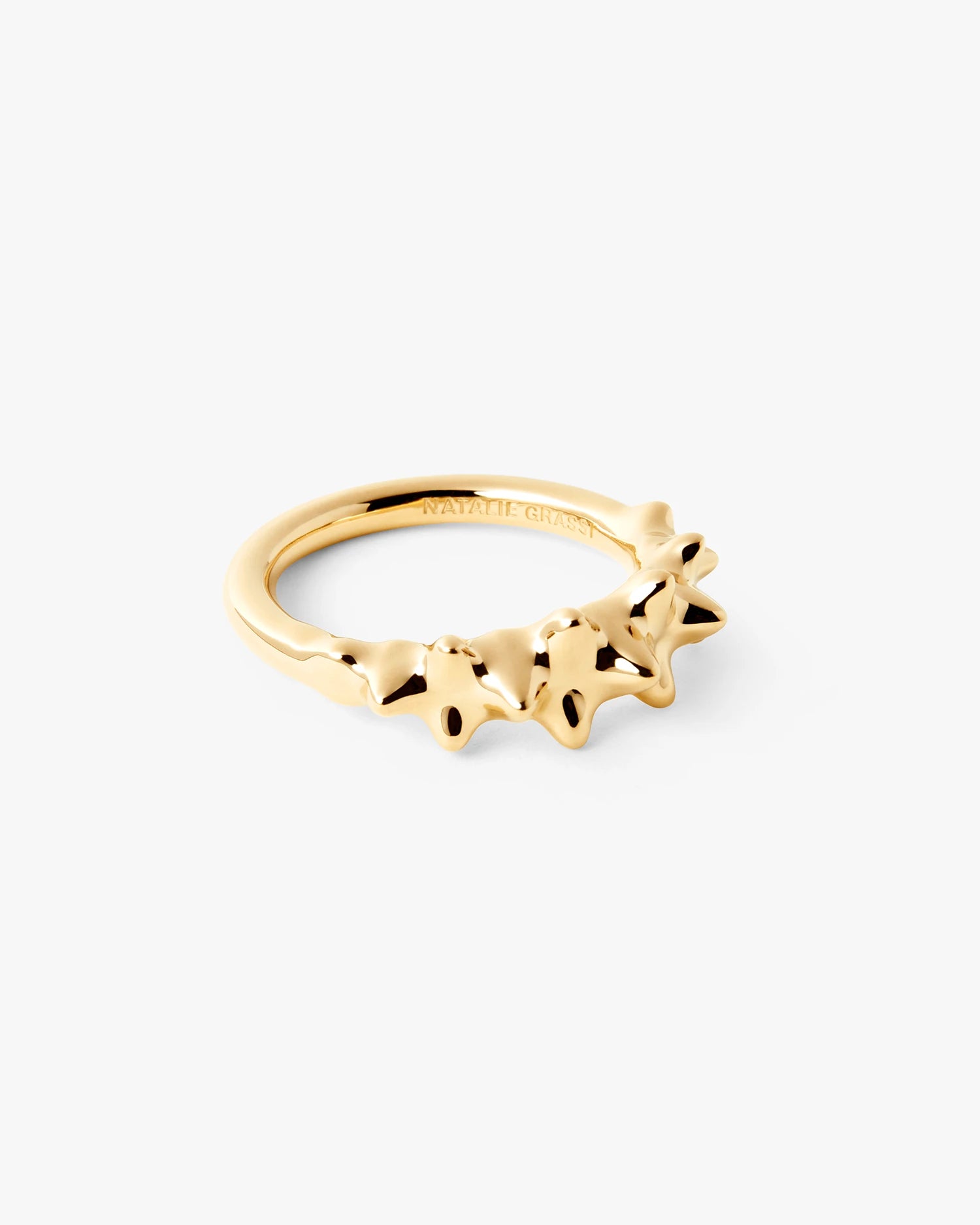 Icon Ring
